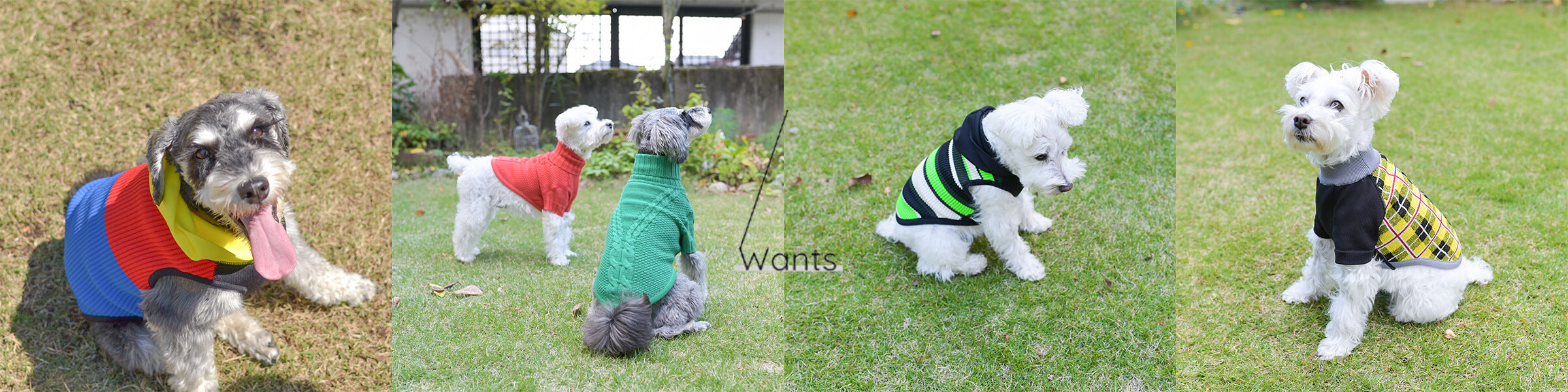 Wants – umeda-knit.com