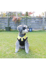 【DOG ACCESSORIES】 REGULAR COLLOR