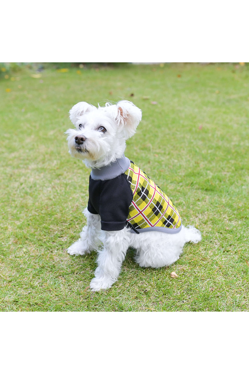 Wants – umeda-knit.com