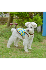 【DOG ACCESSORIES】 COLORFUL TILE
