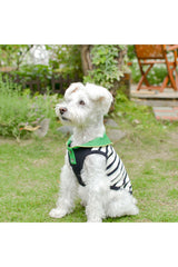 【DOG ACCESSORIES】 SUMMER BORDER