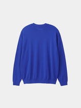 High-gauge Crew Neck Knit (WK23S-MPO02)