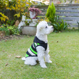 【DOG ACCESSORIES】 MULTI BORDER HOODIE