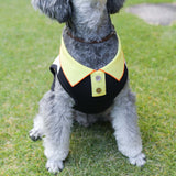 【DOG ACCESSORIES】 REGULAR COLLOR