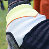 【DOG ACCESSORIES】 REGULAR COLLOR