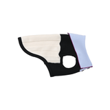 【DOG ACCESSORIES】 REGULAR COLLOR