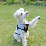 【DOG ACCESSORIES】 REGULAR COLLOR