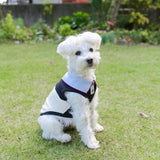 【DOG ACCESSORIES】 REGULAR COLLOR