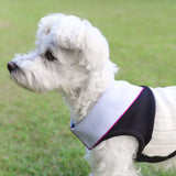 【DOG ACCESSORIES】 REGULAR COLLOR