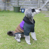 【DOG ACCESSORIES】 RAGLAN SLEEVE HOODIE