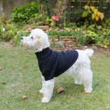 【DOG ACCESSORIES】 CABLE KNIT