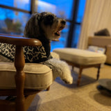 【DOG ACCESSORIES】 LEOPARD-PATTERN KNIT