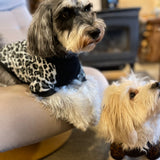 【DOG ACCESSORIES】 LEOPARD-PATTERN KNIT