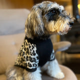 【DOG ACCESSORIES】 LEOPARD-PATTERN KNIT