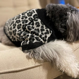 【DOG ACCESSORIES】 LEOPARD-PATTERN KNIT