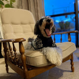 【DOG ACCESSORIES】 LEOPARD-PATTERN KNIT