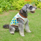 【DOG ACCESSORIES】 COLORFUL TILE