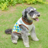 【DOG ACCESSORIES】 COLORFUL TILE