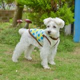 【DOG ACCESSORIES】 COLORFUL TILE