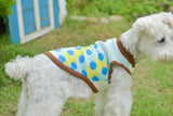 【DOG ACCESSORIES】 COLORFUL TILE