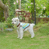 【DOG ACCESSORIES】 COLORFUL TILE