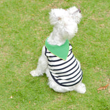 【DOG ACCESSORIES】 SUMMER BORDER