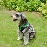 【DOG ACCESSORIES】 SUMMER BORDER