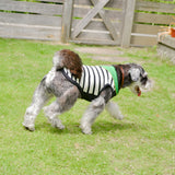 【DOG ACCESSORIES】 SUMMER BORDER