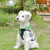 【DOG ACCESSORIES】 SUMMER BORDER