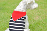 【DOG ACCESSORIES】 SUMMER BORDER