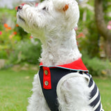 【DOG ACCESSORIES】 SUMMER BORDER