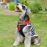 【DOG ACCESSORIES】 SUMMER BORDER