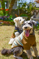 【DOG ACCESSORIES】 FRAIS CHECK SLEEVE KNIT