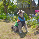 【DOG ACCESSORIES】 VITAMIN HOODIE
