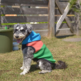 【DOG ACCESSORIES】 VITAMIN HOODIE