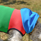 【DOG ACCESSORIES】 VITAMIN HOODIE
