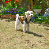 【DOG ACCESSORIES】 VITAMIN HOODIE