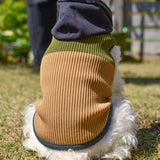 【DOG ACCESSORIES】 VITAMIN HOODIE