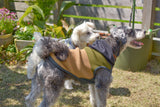 【DOG ACCESSORIES】 VITAMIN HOODIE