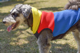 【DOG ACCESSORIES】 VITAMIN HOODIE